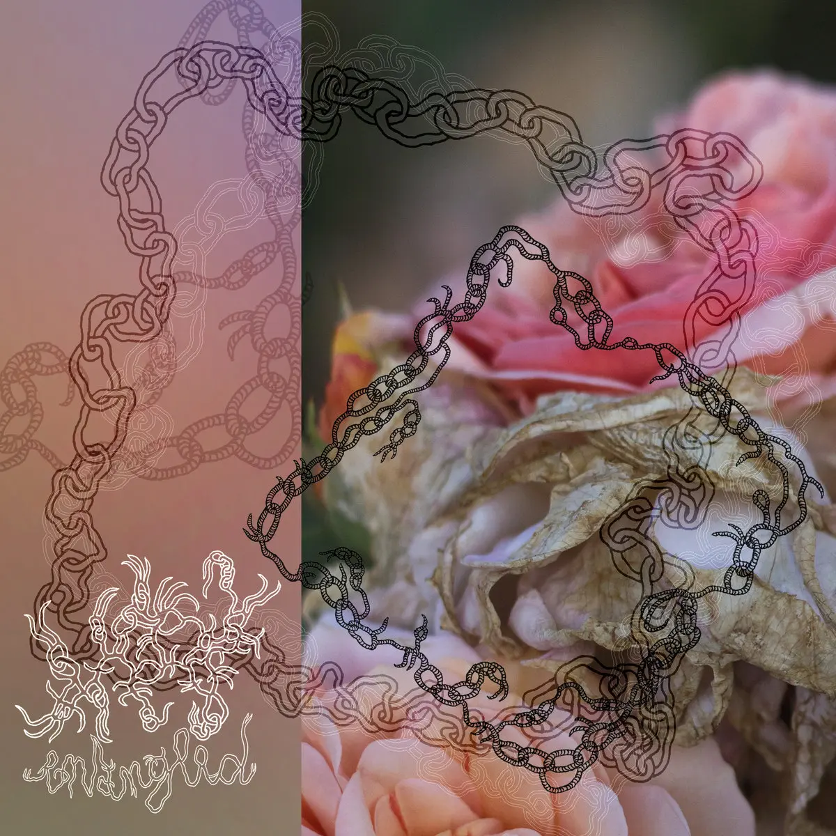 entangled